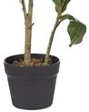 Sztuczna roślina doniczkowa 95 cm FICUS LYRATA_812306