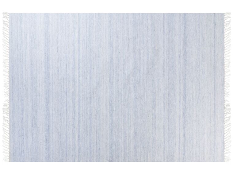 Teppich hellblau 160 x 230 cm Kurzflor MALHIA_846631