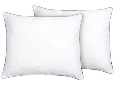 Set of 2 Microfibre Bed Low Profile Pillows 50 x 60 cm PELISTER