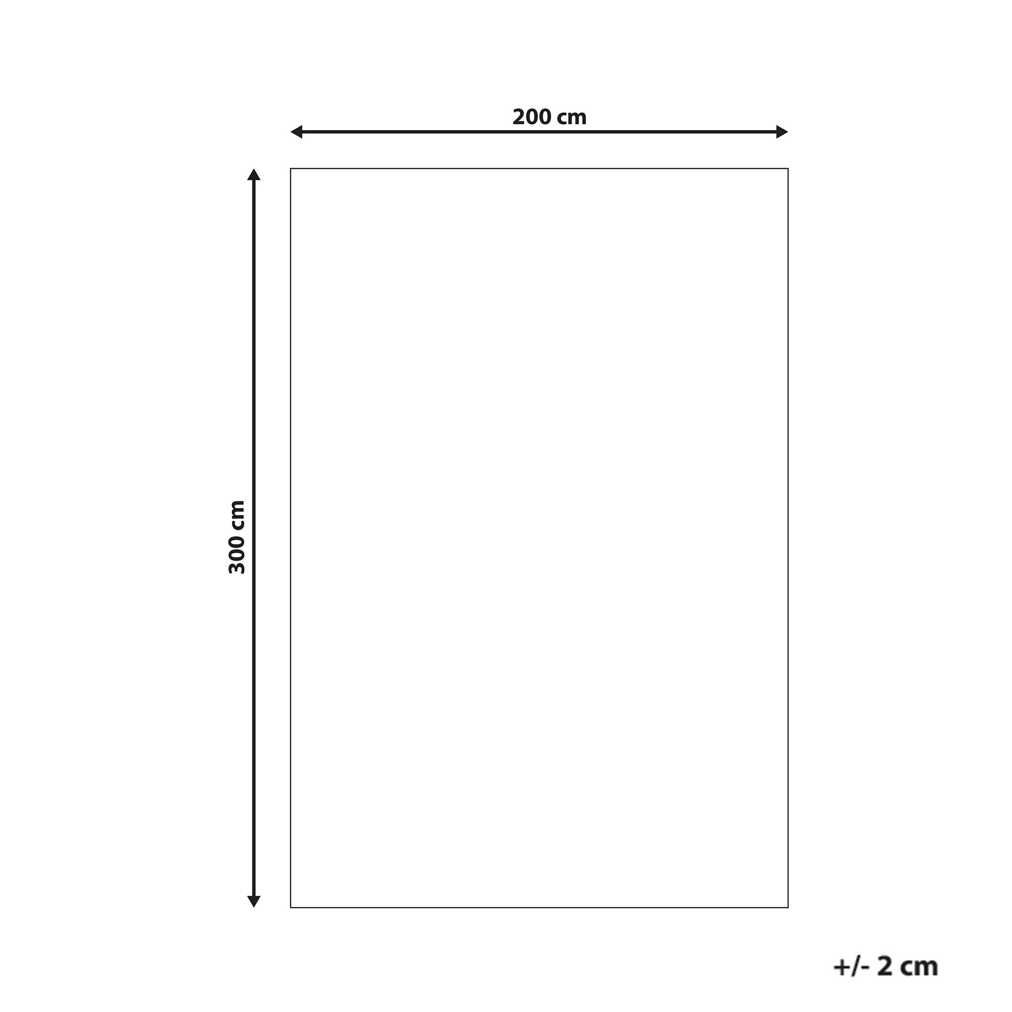 Dywan 200 x 300 cm biały DEMRE