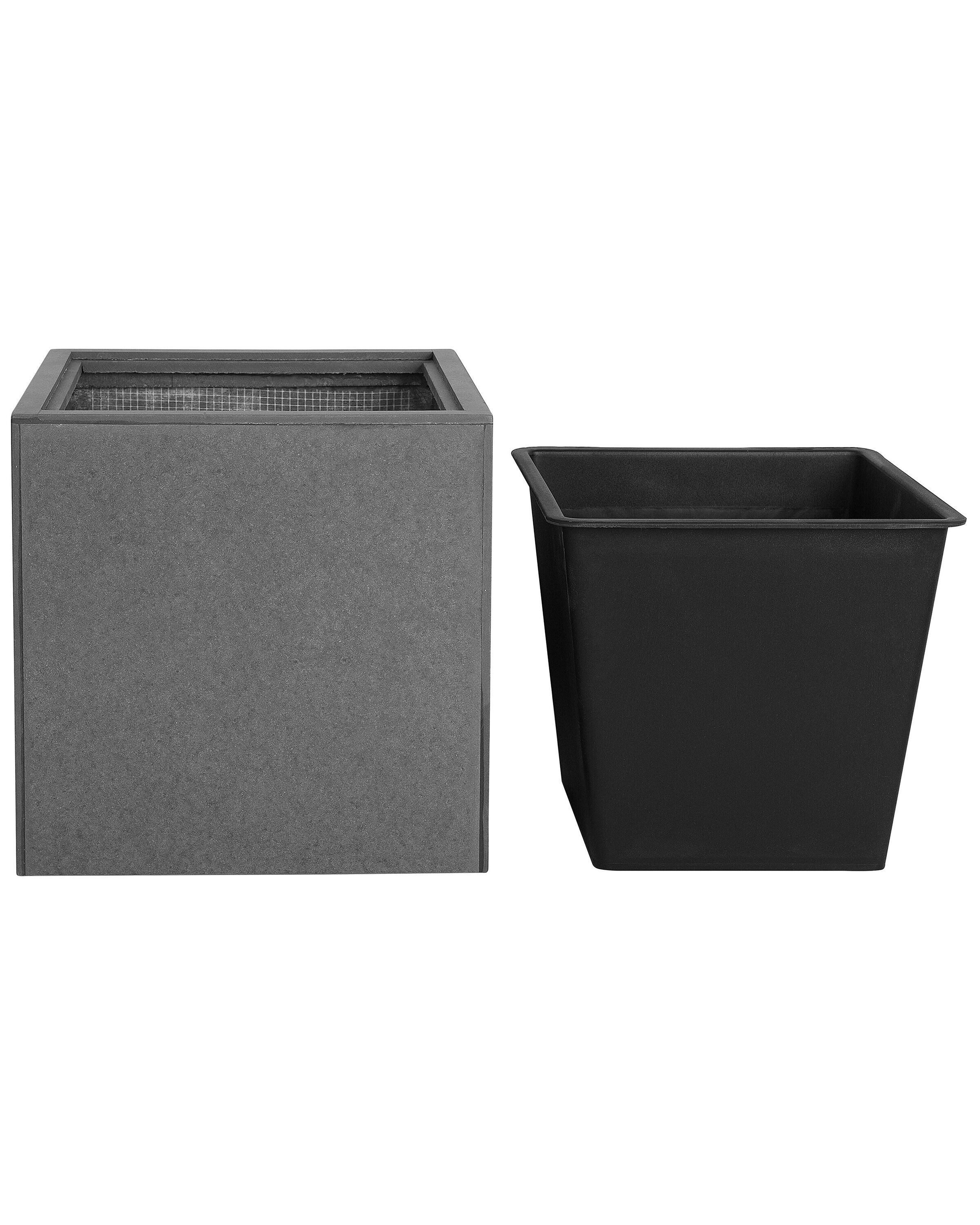 Kwietnik szary DRIMOS