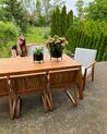Table de jardin en bois acacia clair 210 x 90 cm LIVORNO_872909