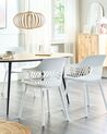 Set of 2 Dining Chairs White ALMIRA_861894