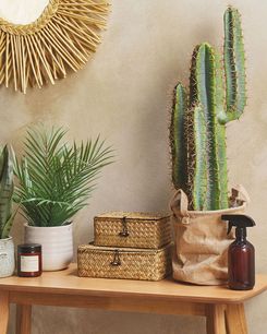 Tekokasvi 78 cm CACTUS Tekokasvi 78 cm CACTUS