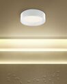 Kovová stropní LED lampa bílá LOEI_824721