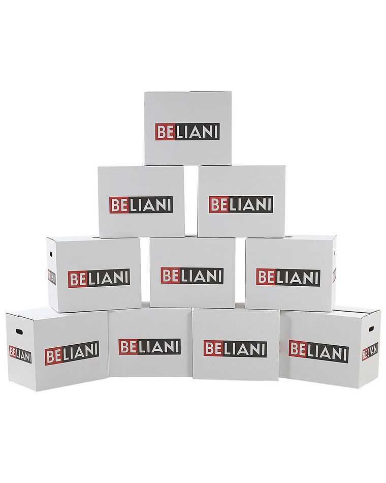 Set de 10 boîtes de déménagement 55 x 35 x 45 cm BELIANI_769599