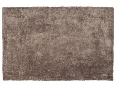 Teppich hellbraun 200 x 300 cm EVREN