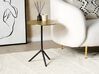 Metal Side Table Gold and Black ERAVUR_853882