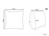 Set of 2 Cotton Cushions Striped 43 x 43 cm Beige and Black CYNARA_801663