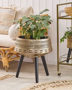 Kukkateline kulta 50 x 50 x 51 cm VARDIANI Kukkateline kulta 50 x 50 x 51 cm VARDIANI