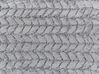 Coperta poliestere grigio chiaro 200 x 220 cm SARASWATI_842967