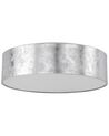 Plafondlamp zilver RENA_736479