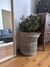Plante artificielle 77 cm avec pot OLIVE TREE_835901