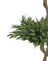 Artificial Potted Plant 166 cm RUSCUS TREE_917263