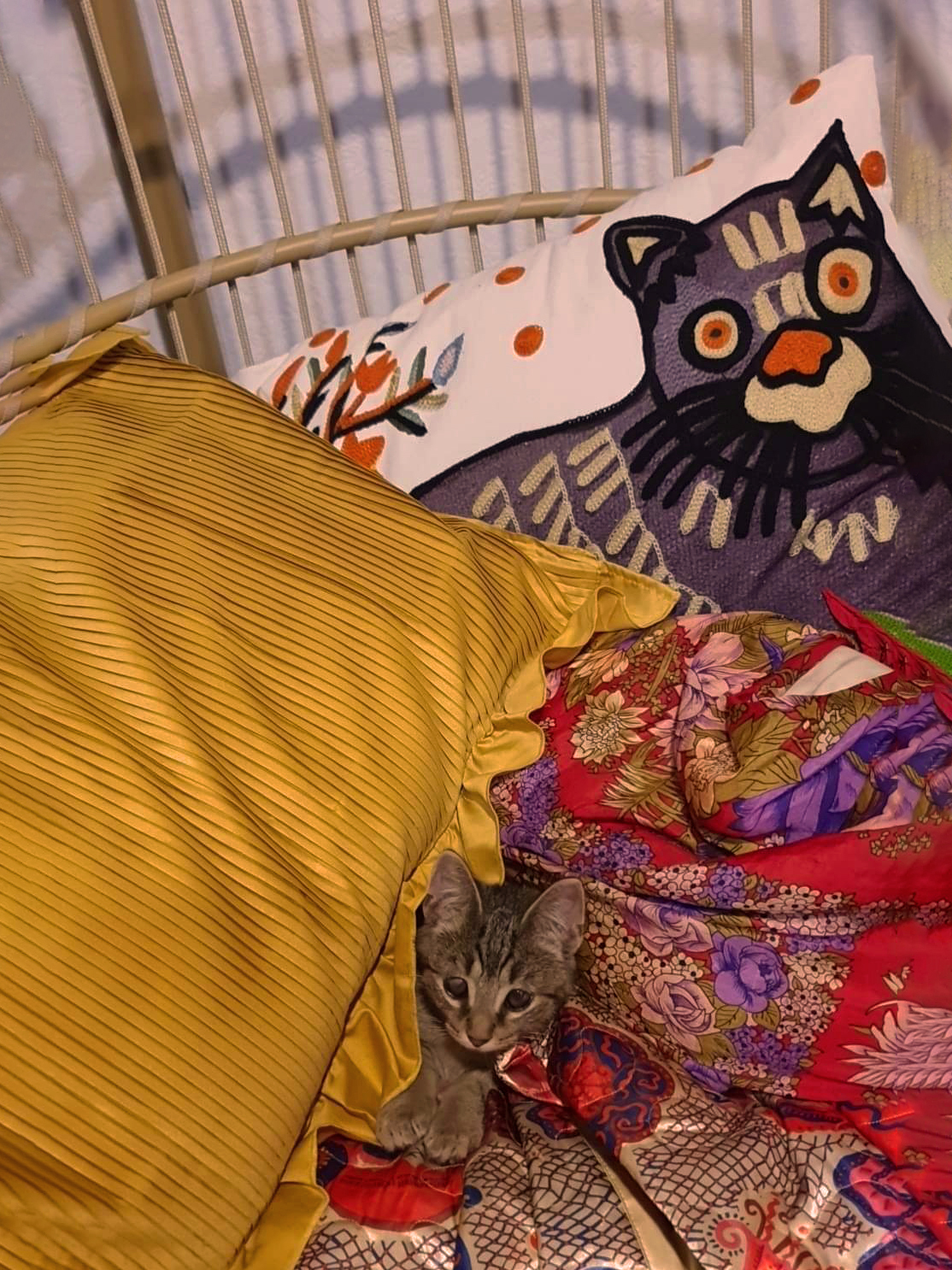 Coussin en coton multicolore à motif de chat brodé 50 x 50 cm PHUSRO_832787
