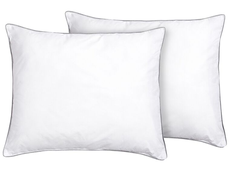 Set of 2 Microfibre Bed Low Profile Pillows 50 x 60 cm PELISTER_765678