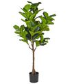 Planta artificial em vaso 162 cm FIG TREE_917212