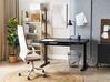 Electric Adjustable Standing Desk 120 x 60 cm with USB port Black KENLY  _840252