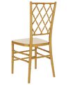 Set of 2 Dining Chairs Gold CLARION_863752