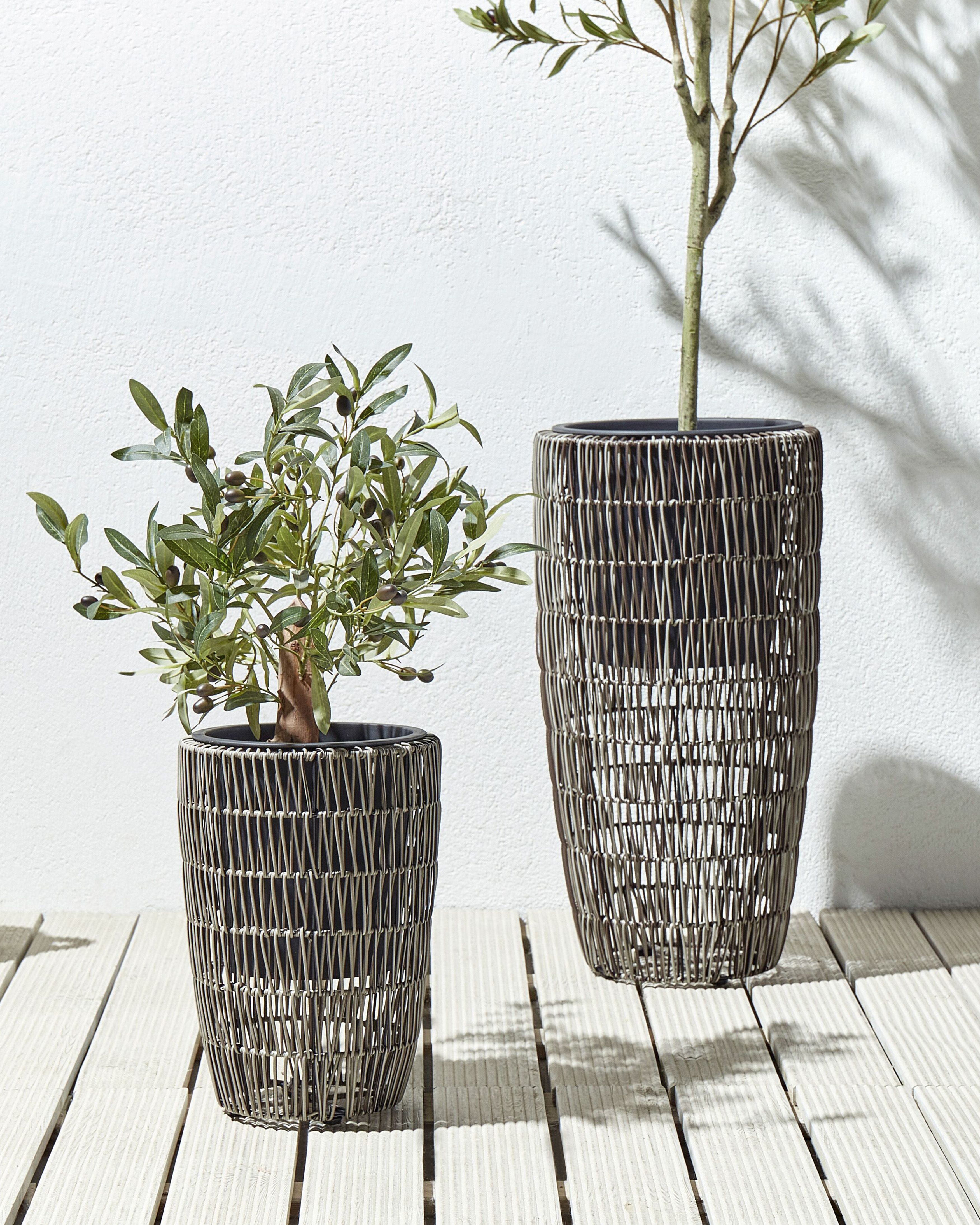 Set 2 Vasi In Terracotta Per Piante Grasse – 12 E 15 Cm, Con Foro Drenaggio E Tappo - 3