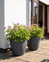 Set of 2 Plant Pots FRITILLARIA 50 cm Grey