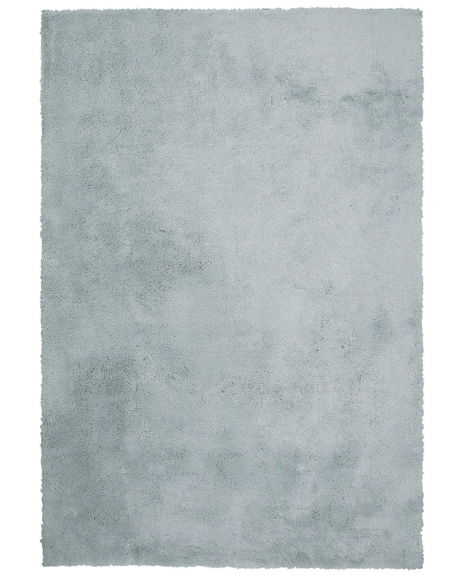 Teppich mintgrün 160 x 230 cm Shaggy EVREN_758654
