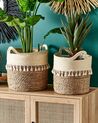 Set of 2 Seagrass Plant Pot Baskets Natural MATIKU_934296