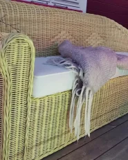 Sofa ogrodowa dla 3 osób LIVADEIA Rattan Naturalny_994138