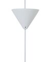 Pendant Lamp Green SEGRE_684864