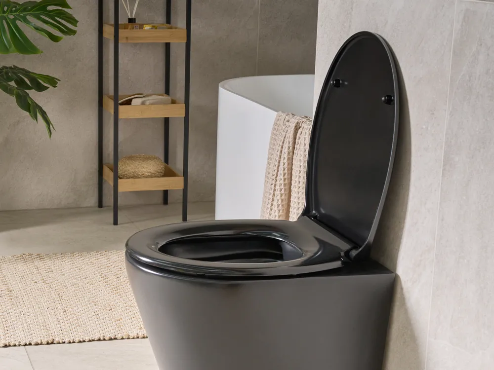 Sedile per WC PAPURI Soft Close Duroplastica Nero_1016483
