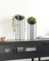 Set of 2 Metal Plant Pot Stands Black FICARIA_933793