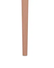 Set di 2 sedie da pranzo BERECA Nero_783804