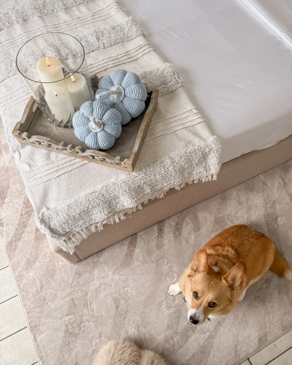 Teppich EGIL Beige 200 x 300 cm_1176755