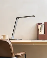 LED Desk Lamp PICTOR with Dimmer Dark Grey_1018711