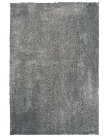 Világosszürke hosszú szálú szőnyeg 140 x 200 cm EVREN