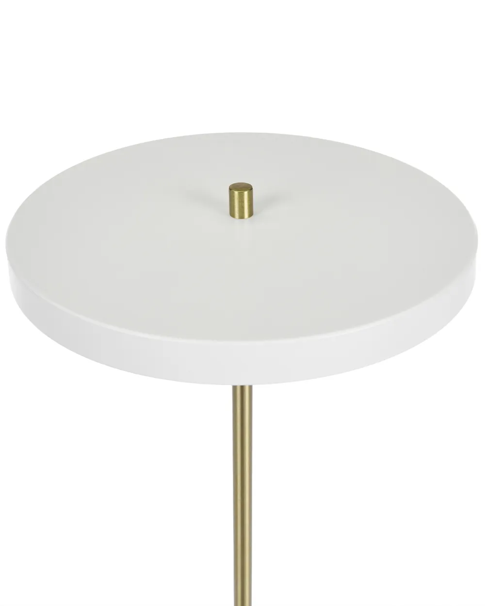 LED Floor Lamp EVENLODE with Dimmer Metal White_1136600