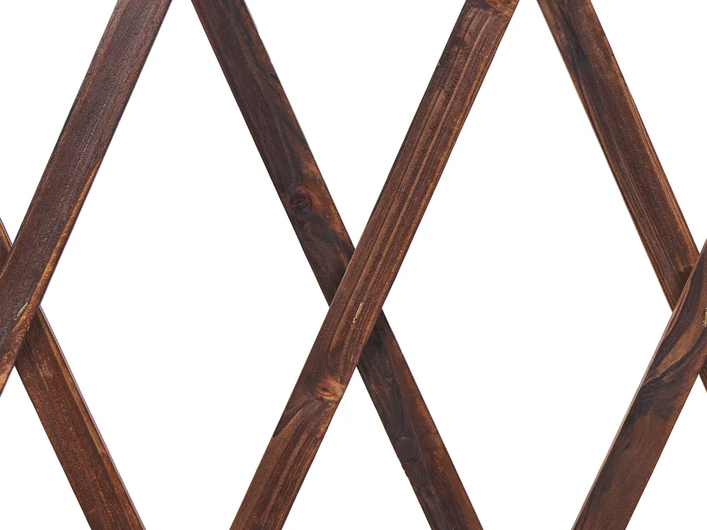 Garden Trellis SCIOLZE Extendable Dark Brown_1041501