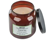 Set of 2 Scented Candles ABSOLUTE ALCHEMY Soy Wax Fresh Notes_874715