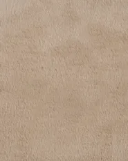 Dywan PARSON Beżowy 80 x 120 cm_1086392