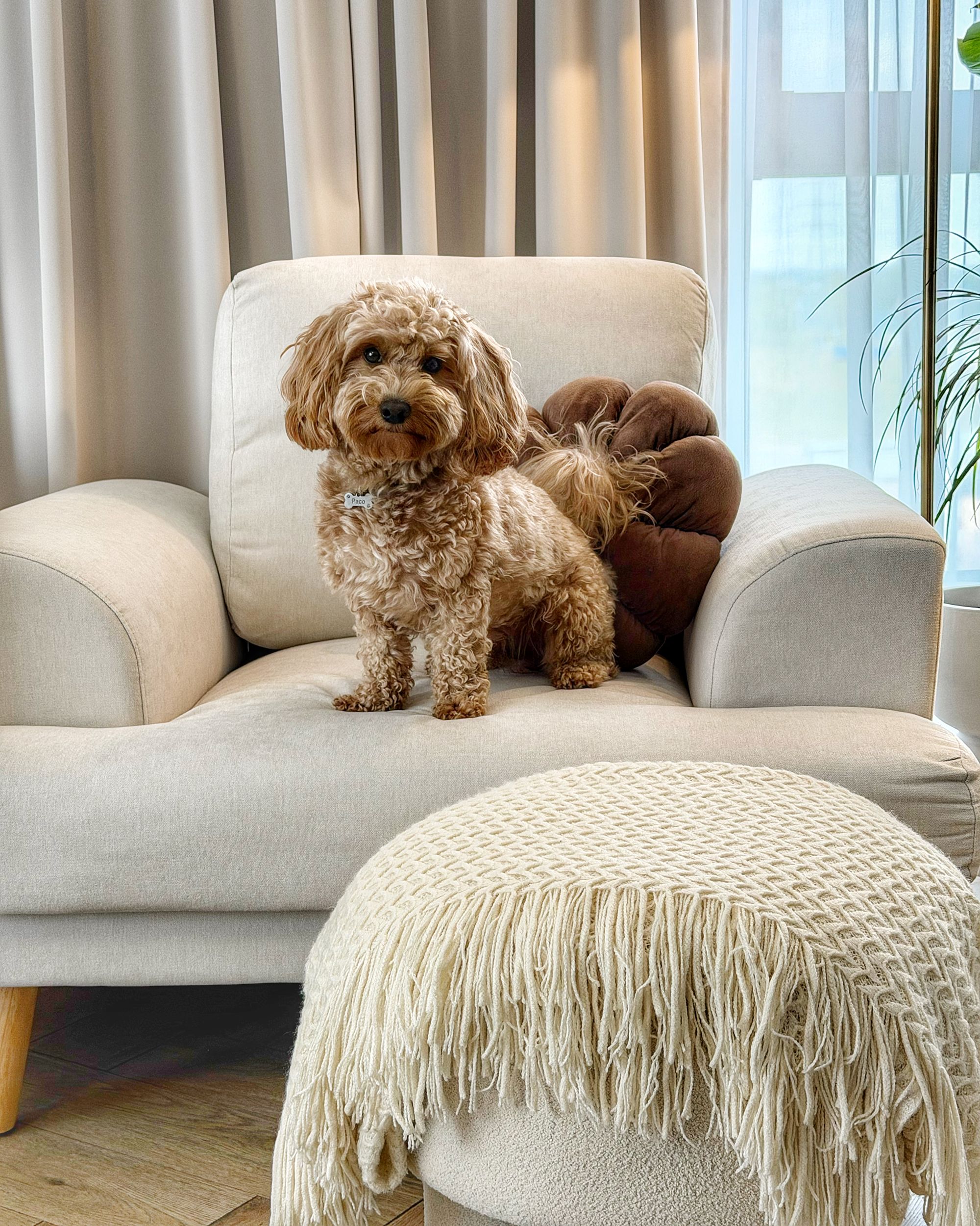 Fauteuil KILDAL Tissu Beige clair_1182714