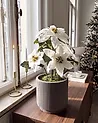 Planta artificial CHRISTMAS FLOWER 61 cm Blanco