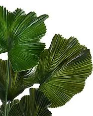 Artificial Plant RUFFLED FAN PALM 98 cm Green_1185283