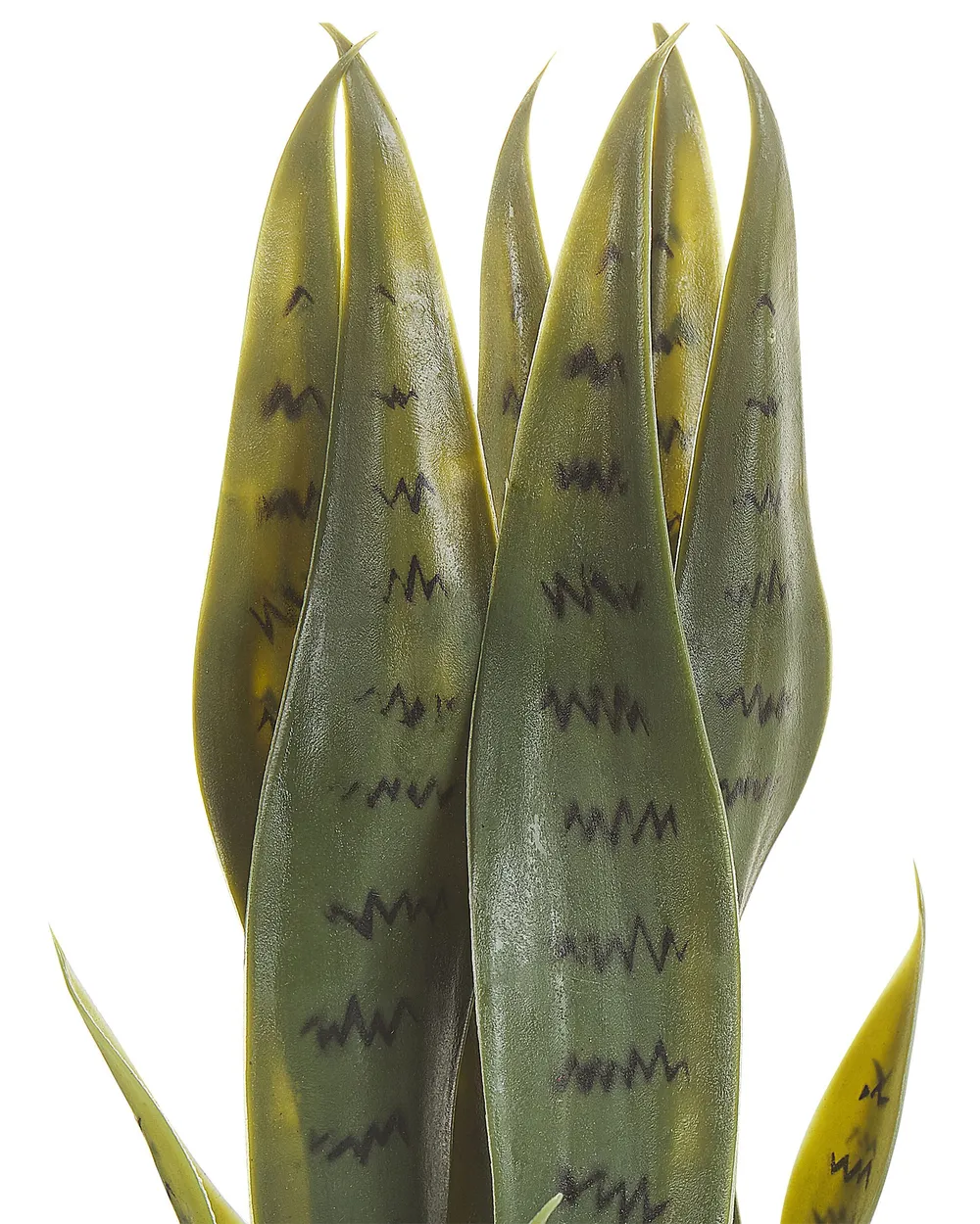 Pianta artificiale SNAKE PLANT 40 cm Verde_822700