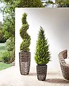 Set of 2 Plant Pots CHELONE 26/34 cm PE Rattan Brown
