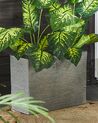 Rectangular Plant Pot 25 x 60 x 45 cm Grey EDESSA_772699