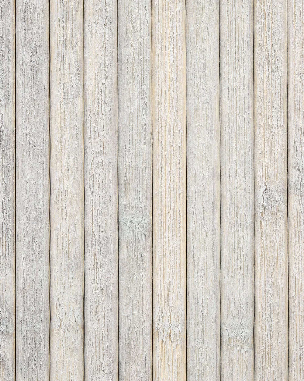 bambus weimar Nicht wuchernder Bambus 'Pingwu' kaufen | Fargesia robusta 'Pingwu'