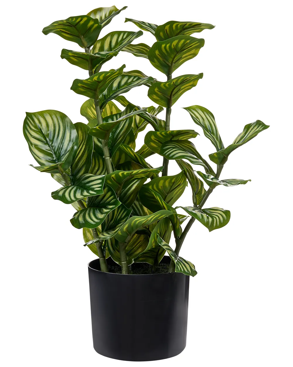 Sztuczna roślina ORBIFOLIA 50 cm Zielony