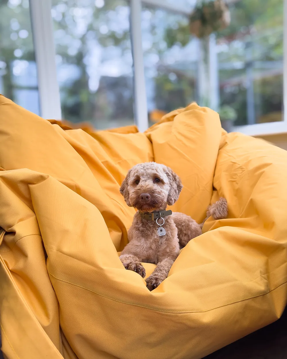 Poltrona sacco 600 L FUZZY 180 cm 230 cm Giallo