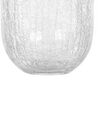 Bloemenvaas glas transparant 28 cm KYRAKALI_838034