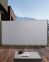 Garden Side Awning Retractable 160 x 300 cm Light Grey DORIO_811688